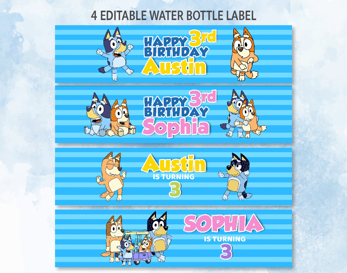 Bluey Inspired Birthday Water Bottle Label Editable | bluey birthday invitation | Instant Digital Download | Printable